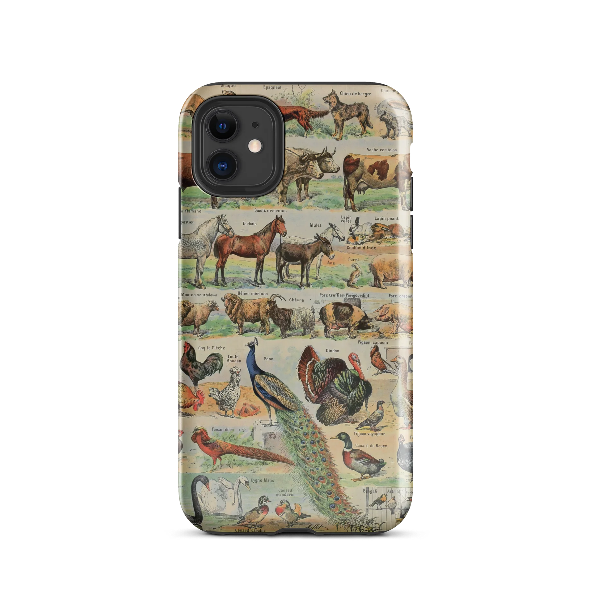 Vintage Animal Chart Tough iPhone® Case product image (4)