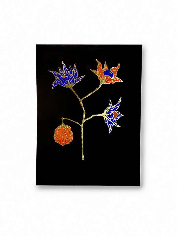 Physalis product image (1)