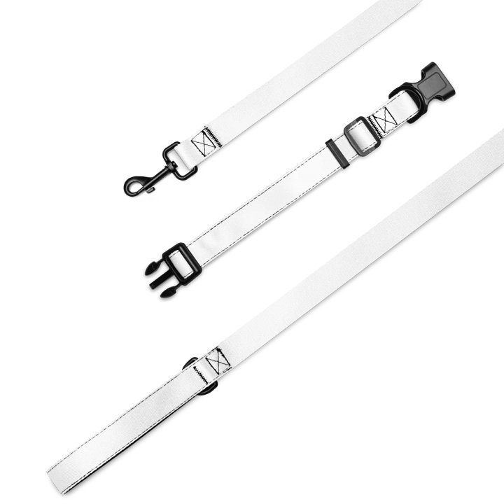 Lucky Dog White Pet Collar & Leash Set 04 product image (1)