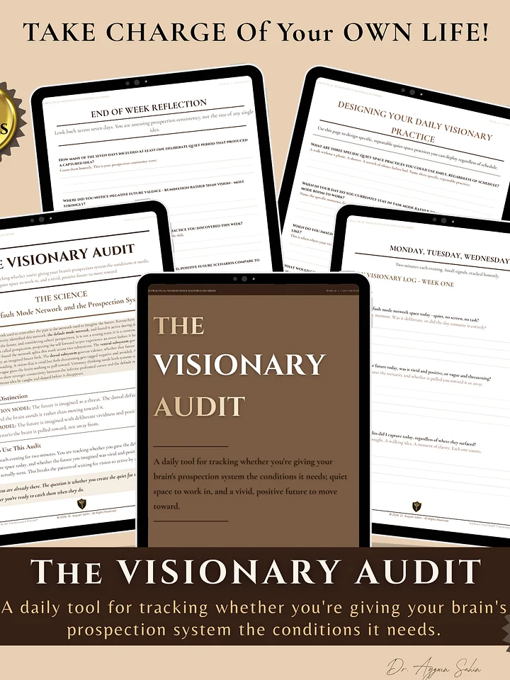 The VISIONARY Audit product image (2)