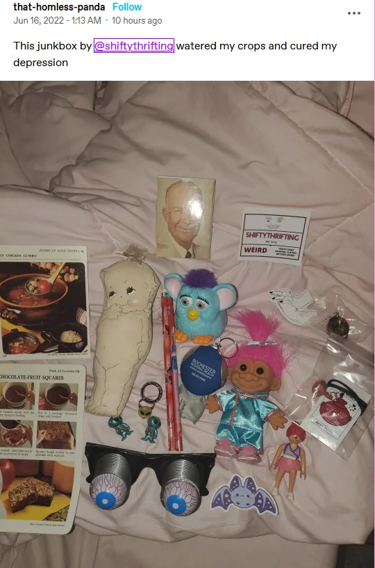 ShiftyThrifting Junk Box product image (6)