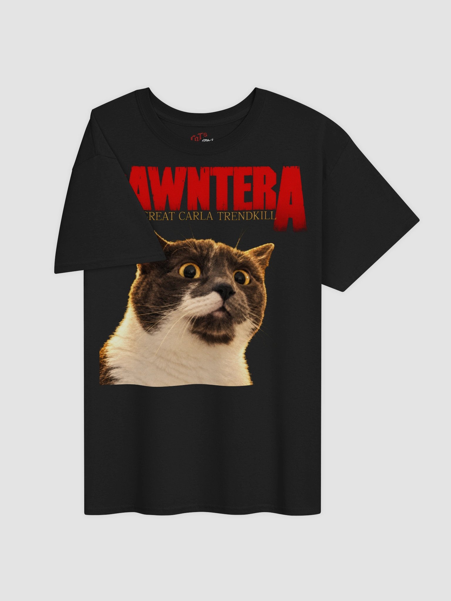 Carla Pawntera Tee product image (2)