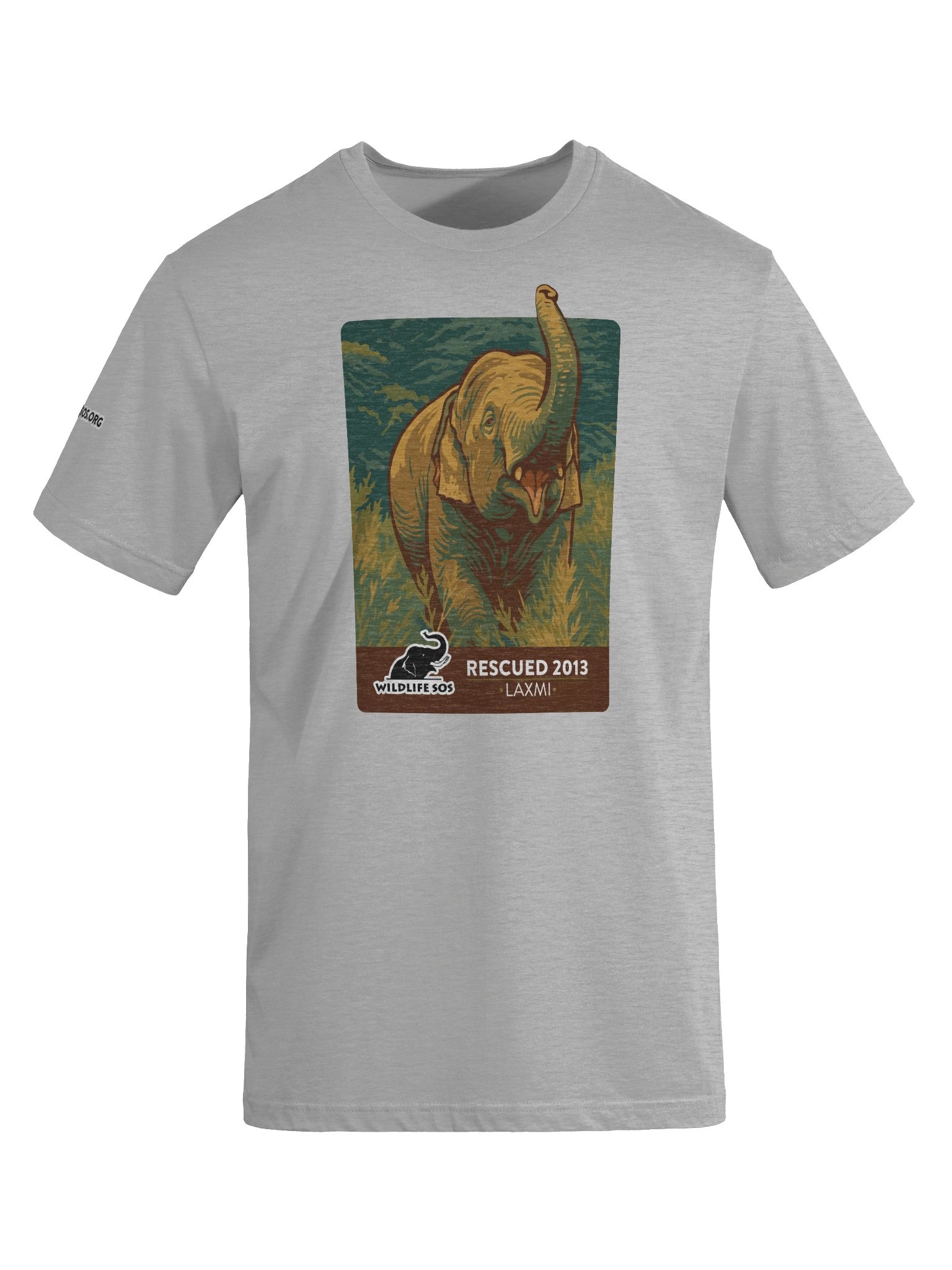 Laxmi - Rescued 2013! product image (29)