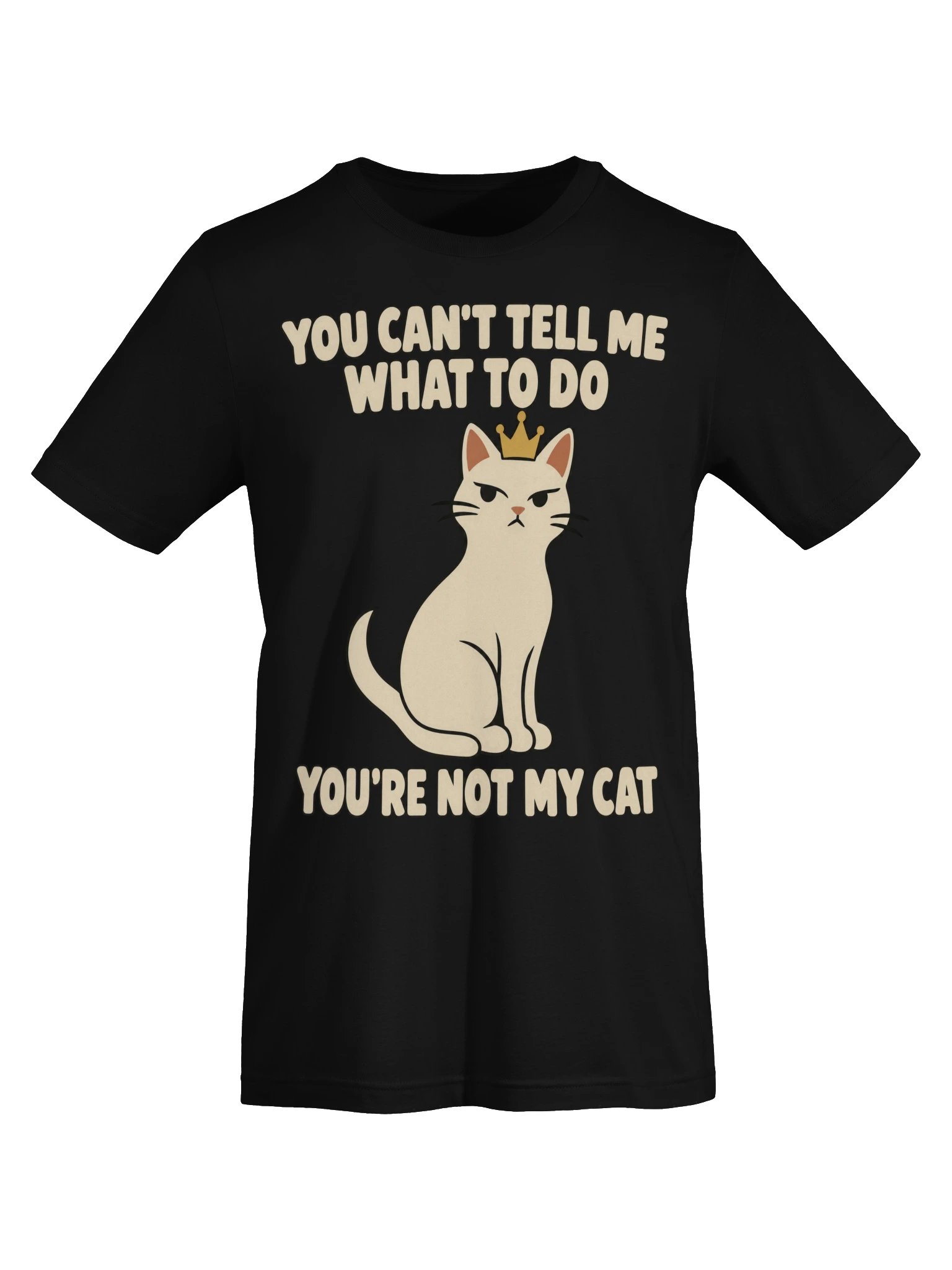 You're Not My Cat product image (17)