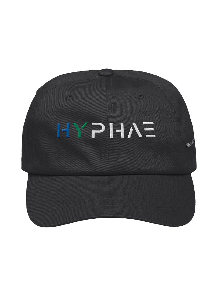 Hyphae Hat - Black product image (1)