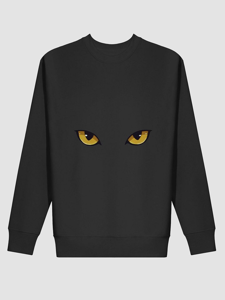 Mystic Feline Premium Sweatshirt product image (12)