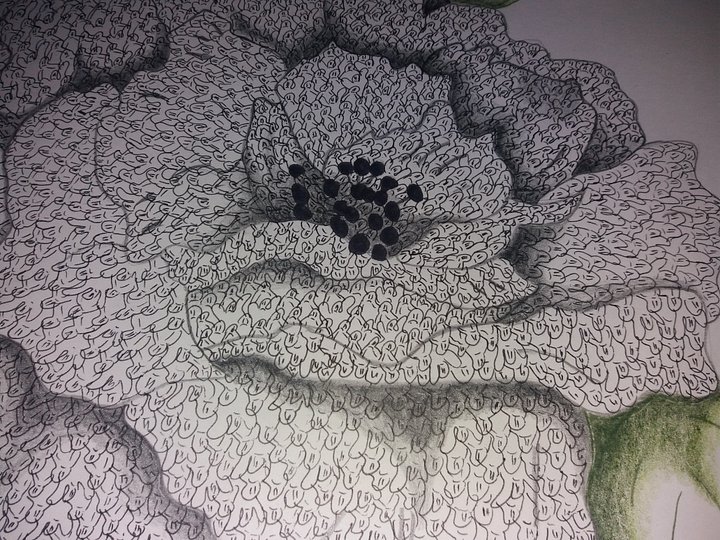 rose product image (2)