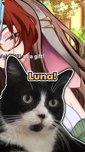 A CAT. A REAL CAT. PLEASE 😭💀
Edited by MilesDavidVT
#vtuber #vtuberreels #vtuberclips #twitchclips #streamer
