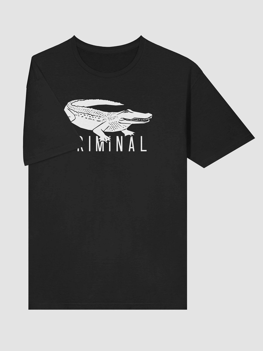 Criminal 10th Anniversary Tour T-shirt product image (5)