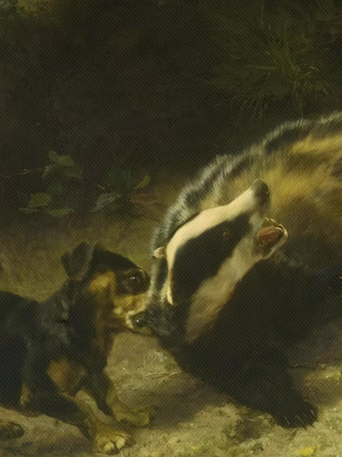 Dachshunds On a Badger product image (2)