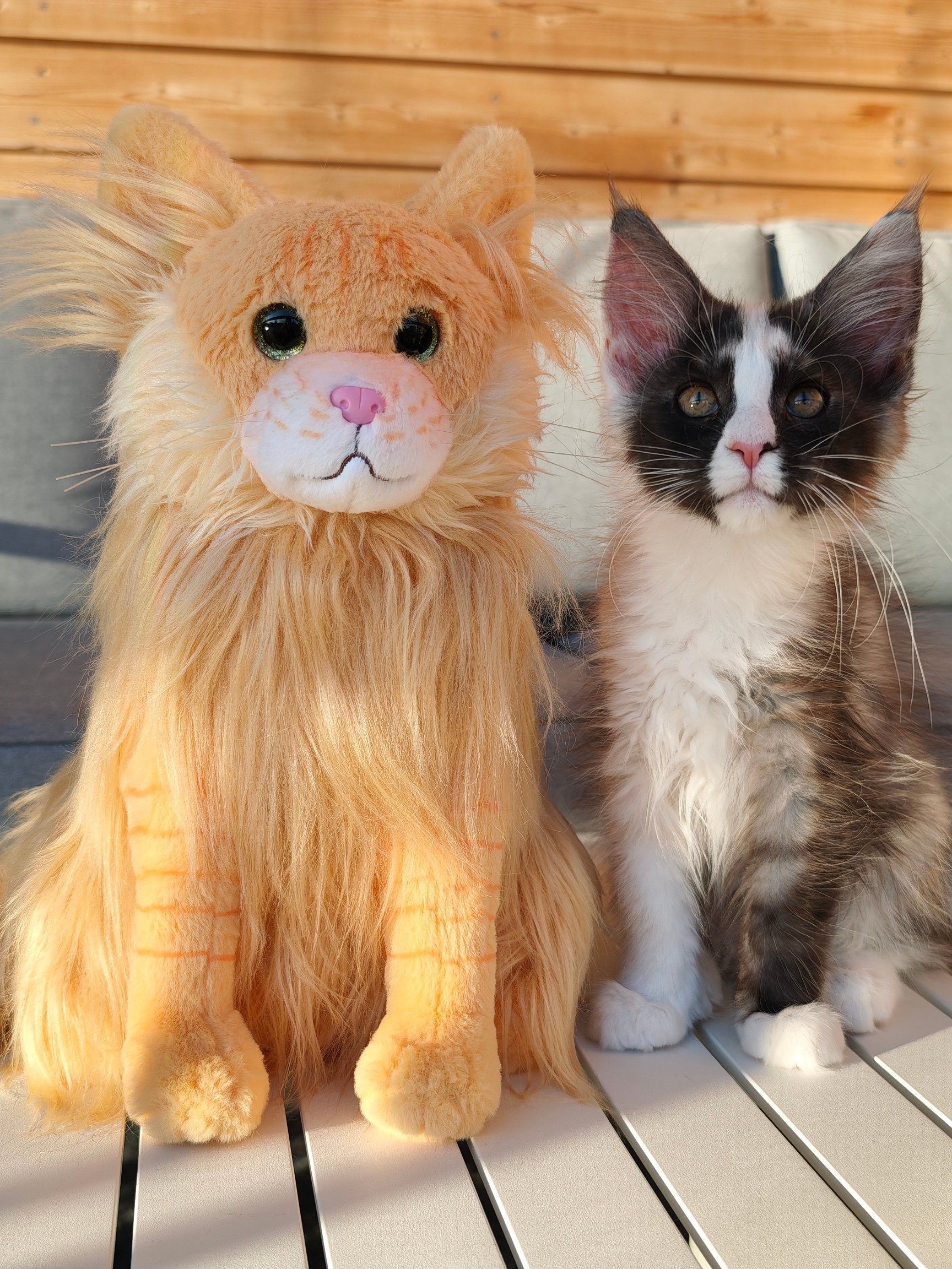 Buster Plushie - PRE ORDER product image (5)