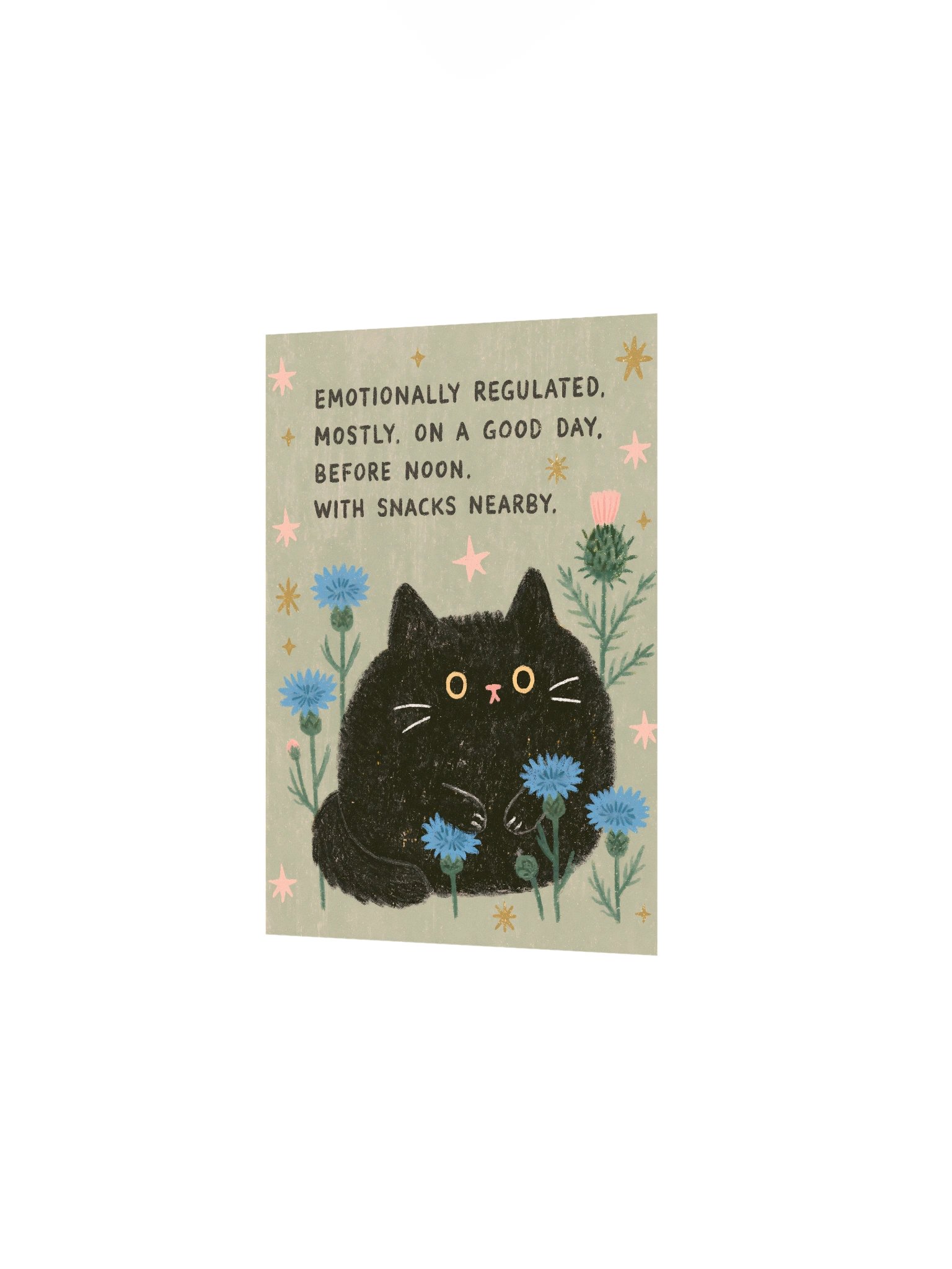 Mostly Regulated Cat Poster product image (15)