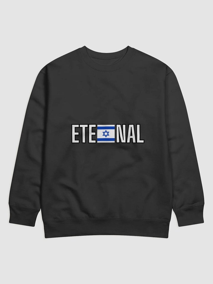 ETERNAL Sweater – Flag Edition product image (4)