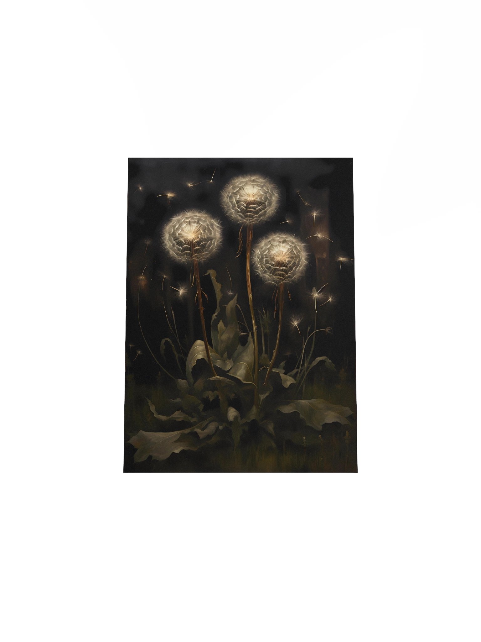 Dandelions product image (4)