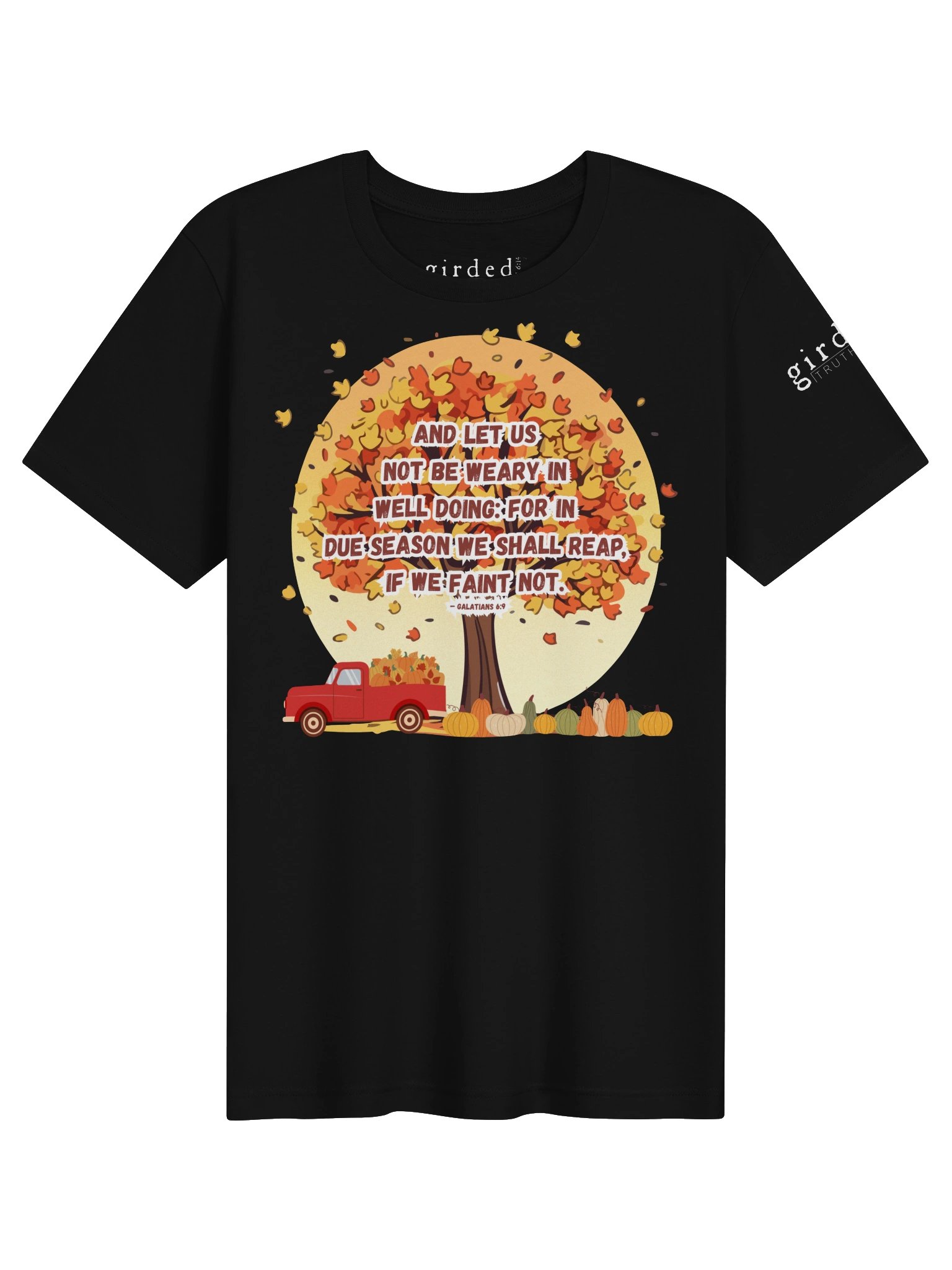 In Due Season Galatians 6:9 Tee product image (1)