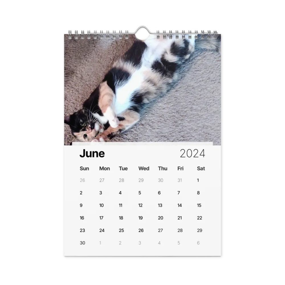 2024 Lyra Calendar product image (23)