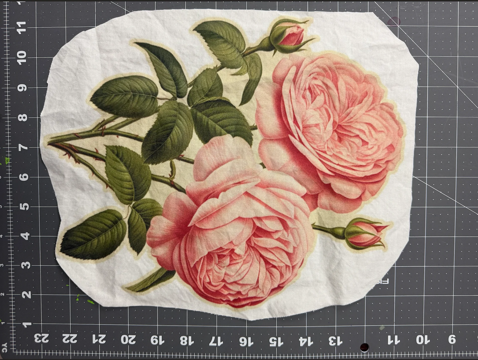 JUMBO ROSES product image (1)
