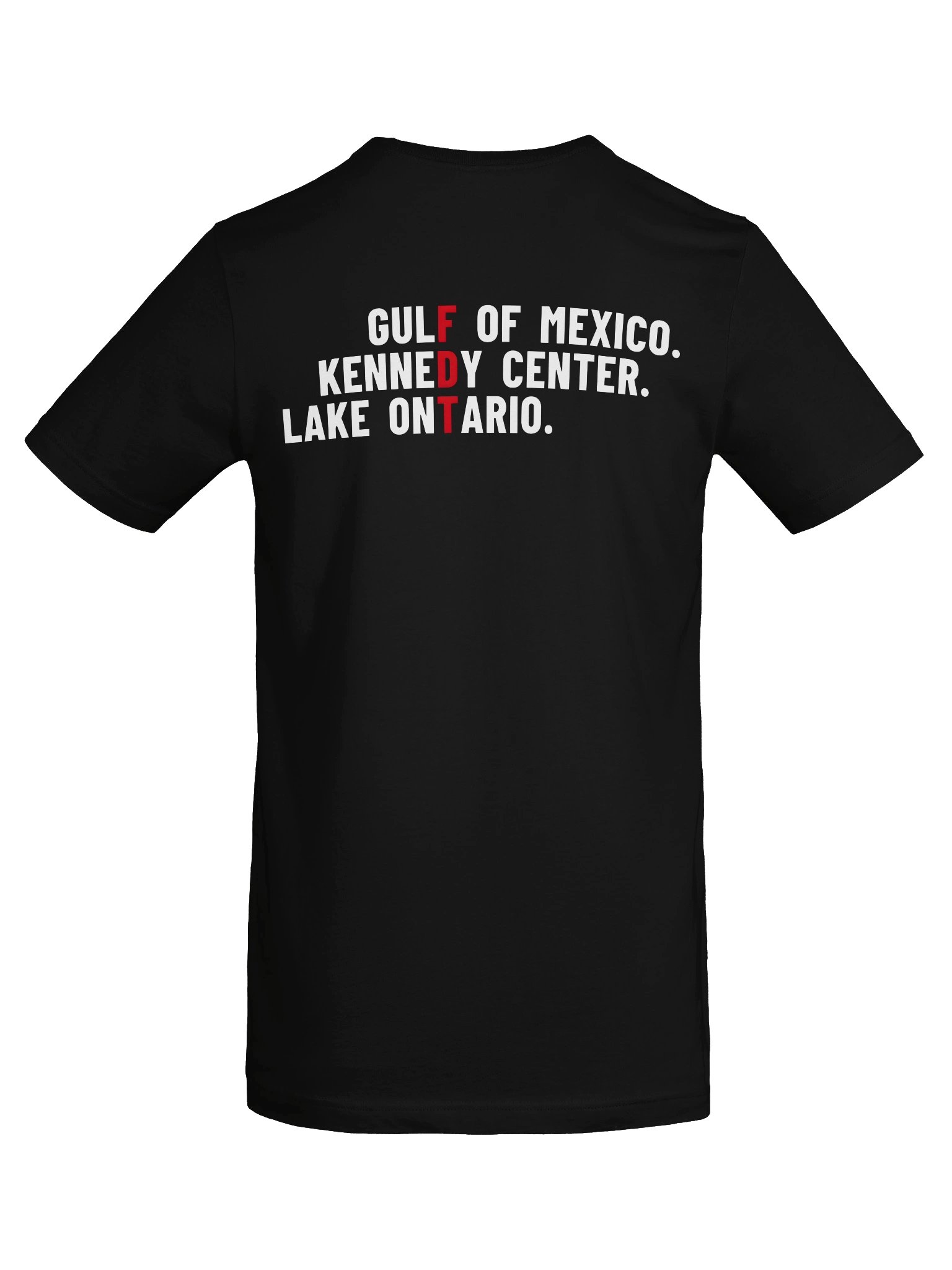 Bold FDT Statement Tee product image (52)