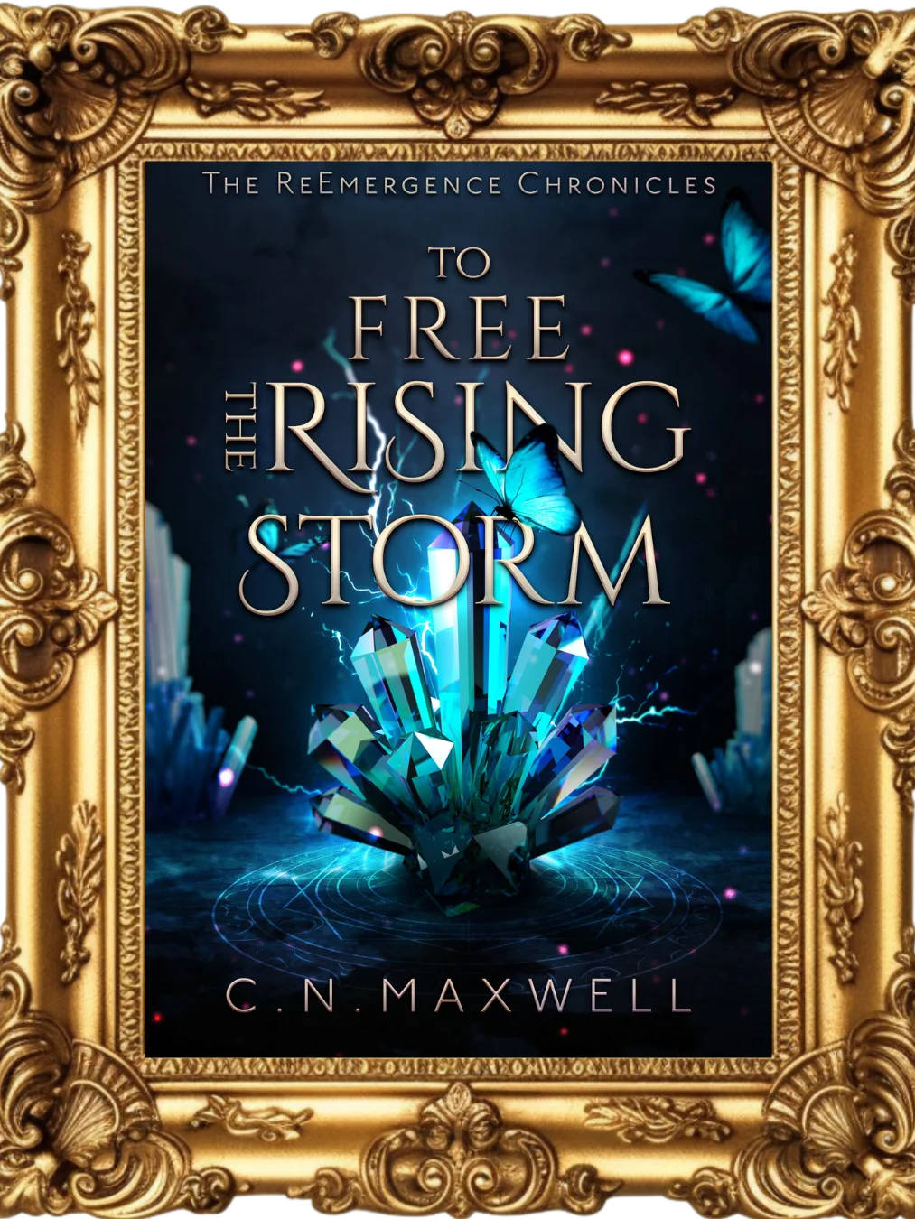 Signed Paperback To Free the Rising Storm product image (1)