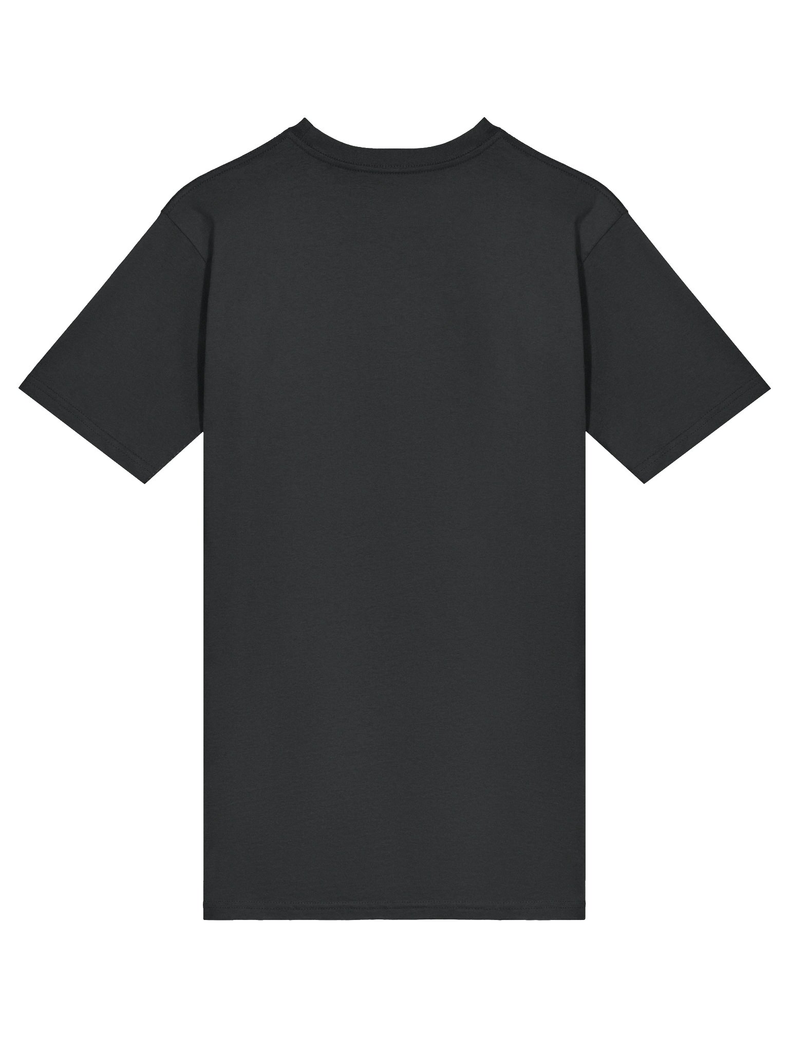 CE Inspiration Heavyweight Tee product image (20)