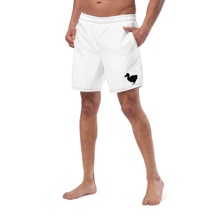 Dodo Swim suit product image (2)
