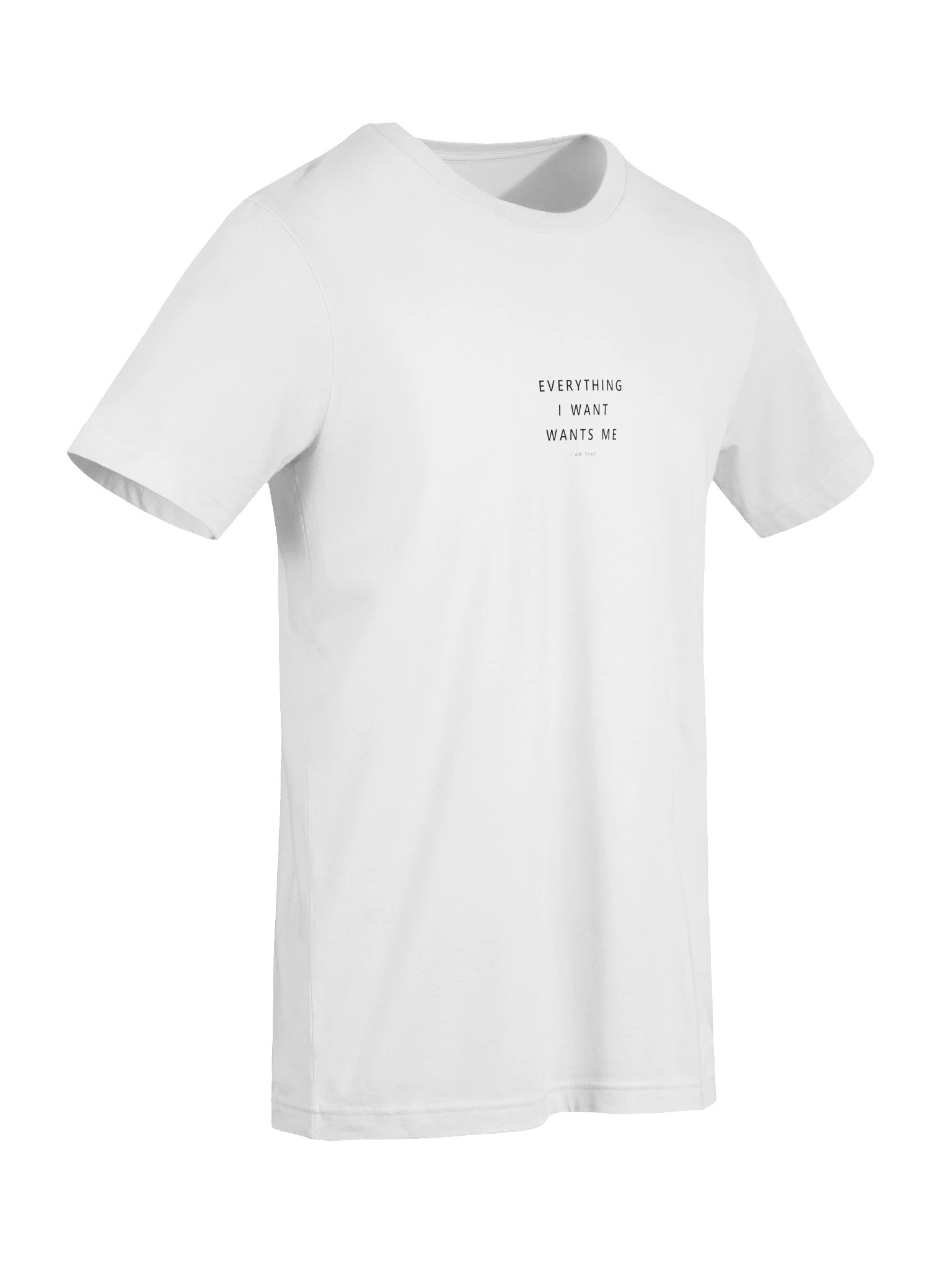Everything I Want Wants Me Tee product image (37)