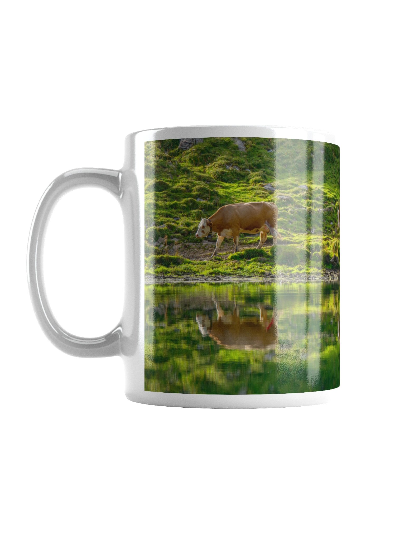 Cows with their reflections product image (1)