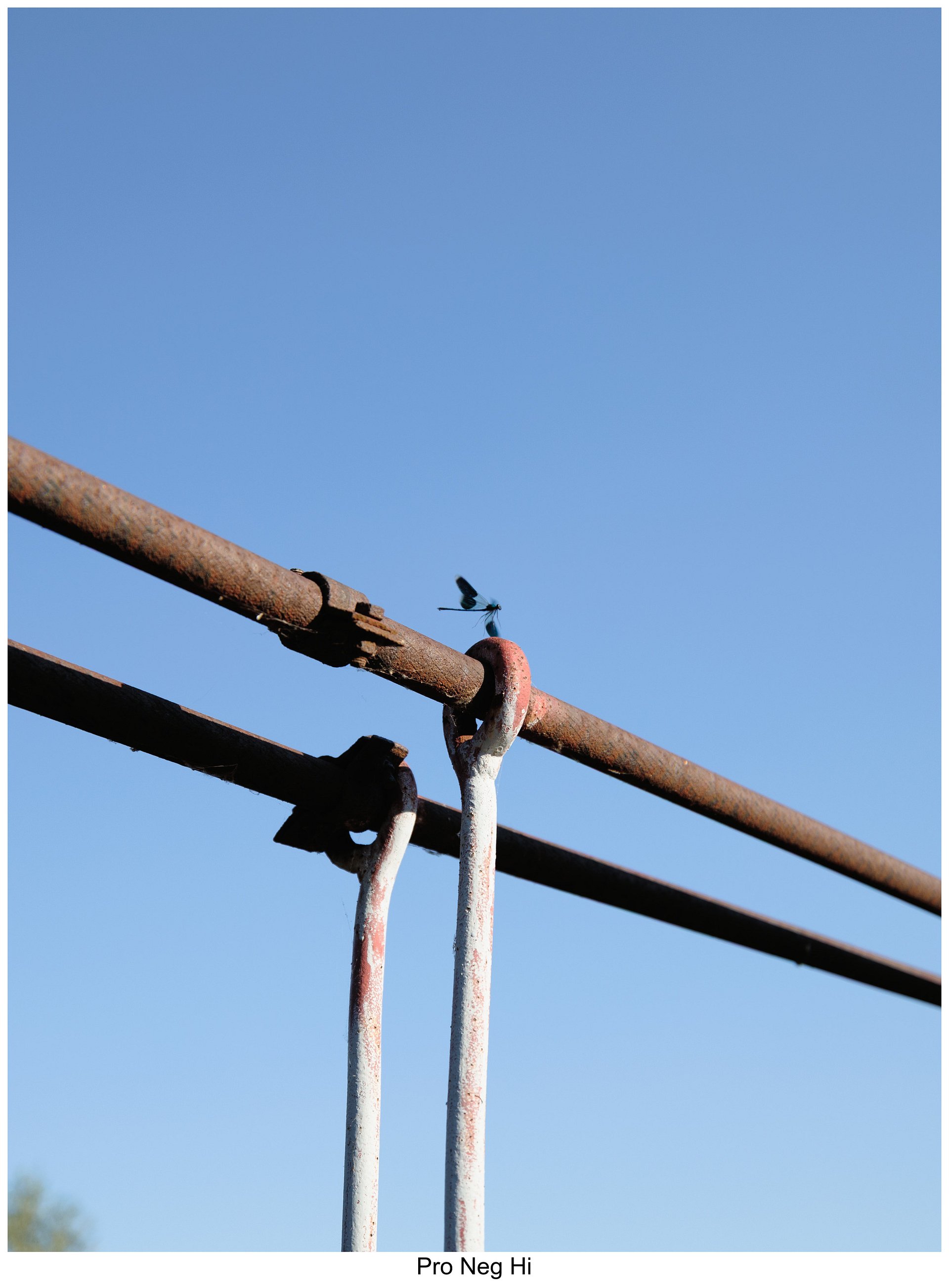 Fujify [Canon] Lightroom Profiles - Complete Pack product image (7)