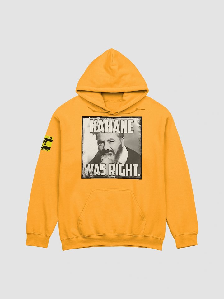 Kahane Was Right Stylized Hoodie product image (1)