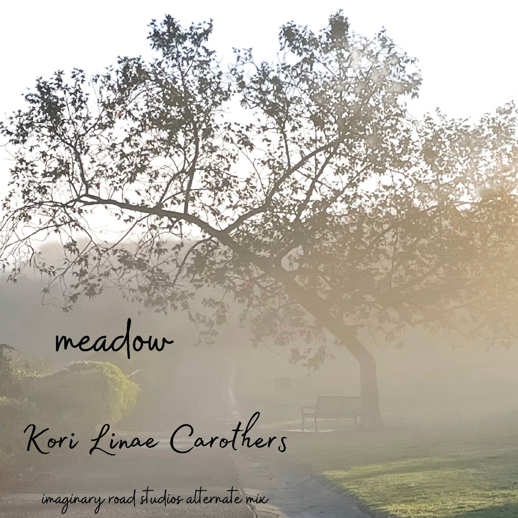Meadow Sheet Music product image (1)