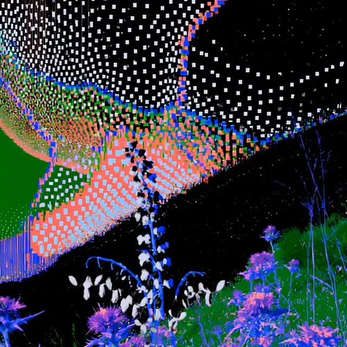 Day Trippin' Adventure

#nature #trip #psychedelic #outdoors #vibe