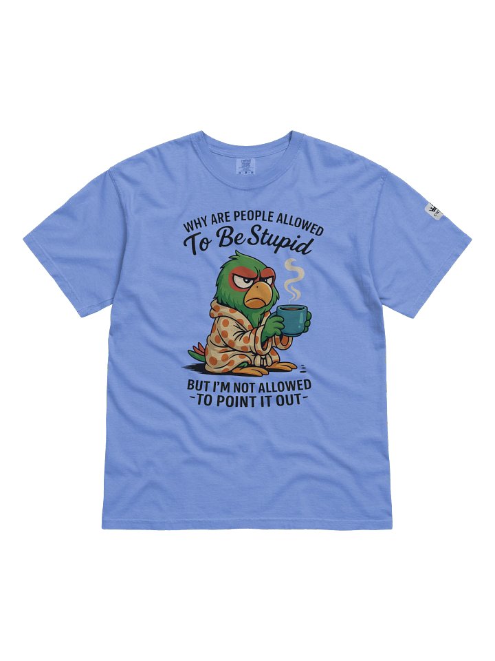 Why Are People Allowed to Be Stupid Graphic T-Shirt product image (1)