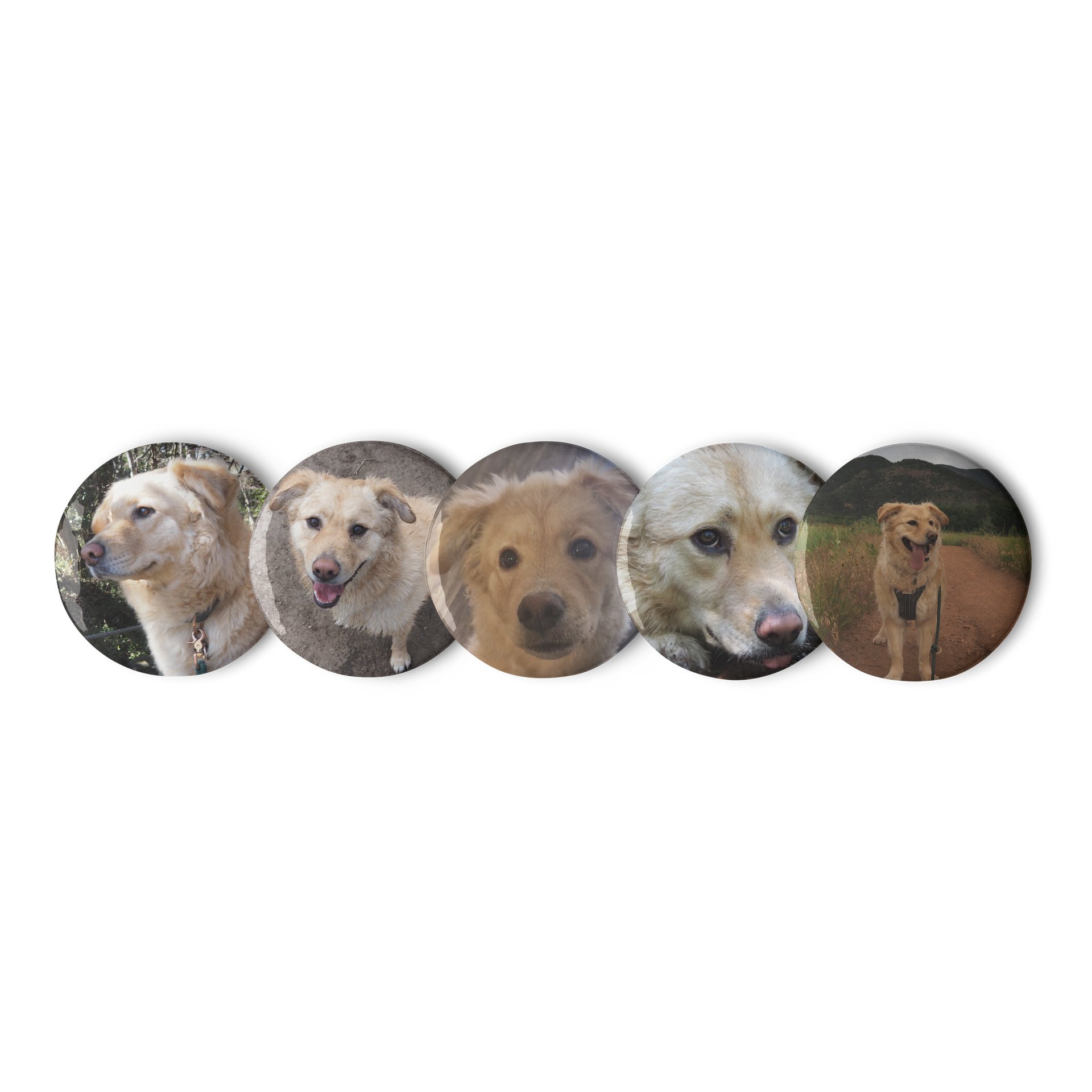 Milo's Life Button Collection (February 2026) product image (1)