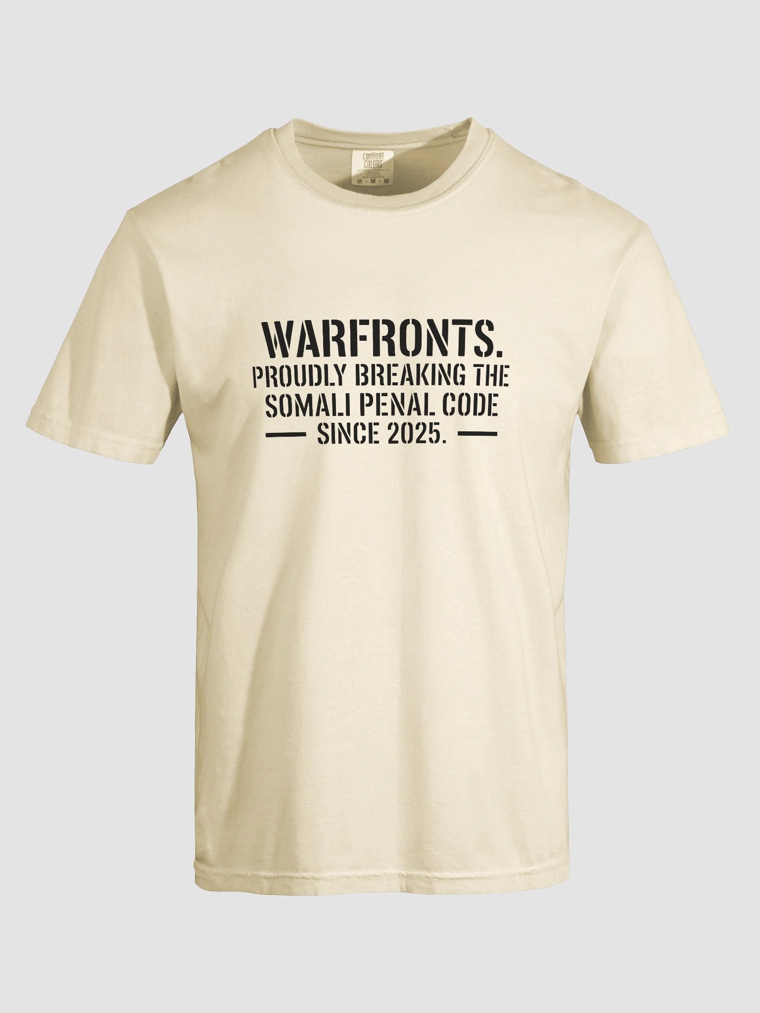 Breaking the Somali Penal Code product image (37)