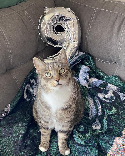 BIRTHDAY BOY 🎉
