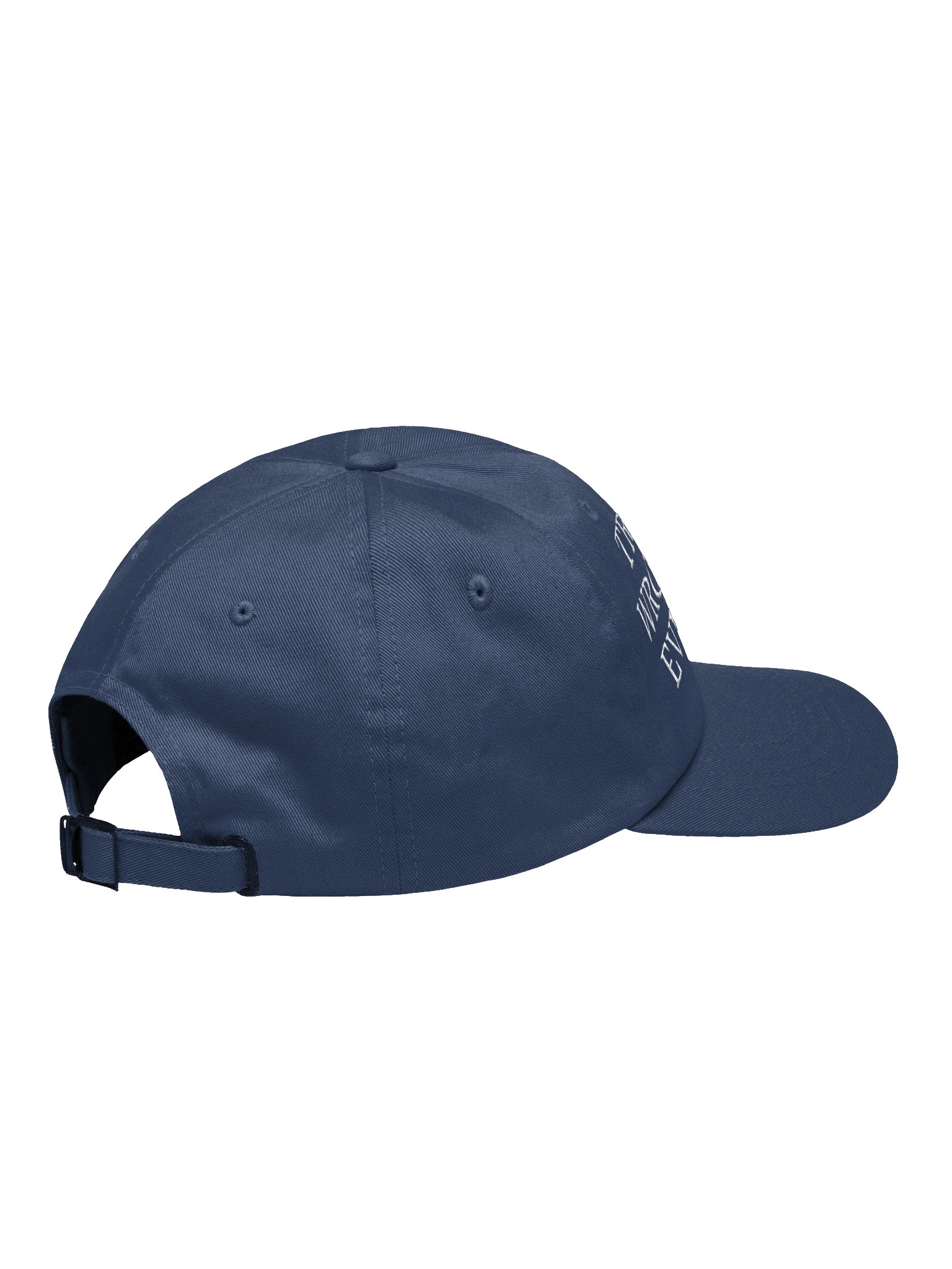 Trump Was Wrong About Everything Hat product image (4)