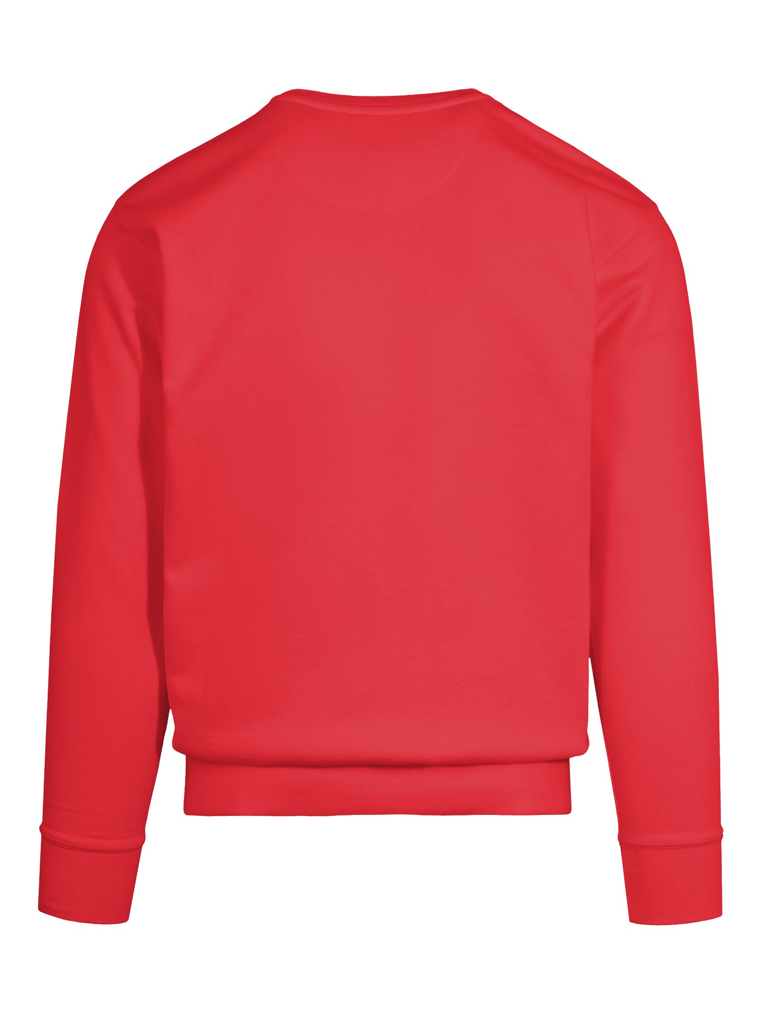 Haiti Mondyal 2026 Premium Sweatshirt product image (11)