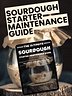 The Complete Sourdough Starter Maintenance Guide - BreadXBaker