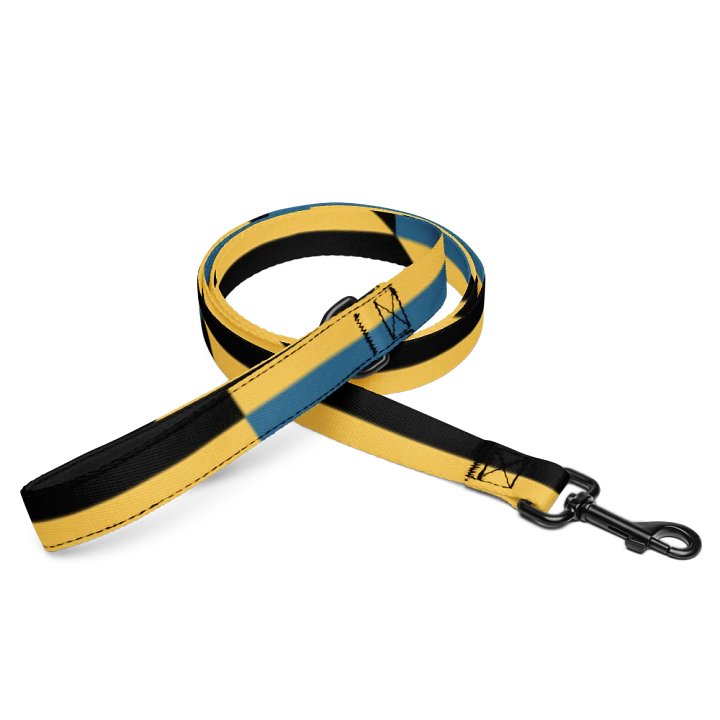 Lucky Dog Bold Stripes Pet Leash #004 product image (1)