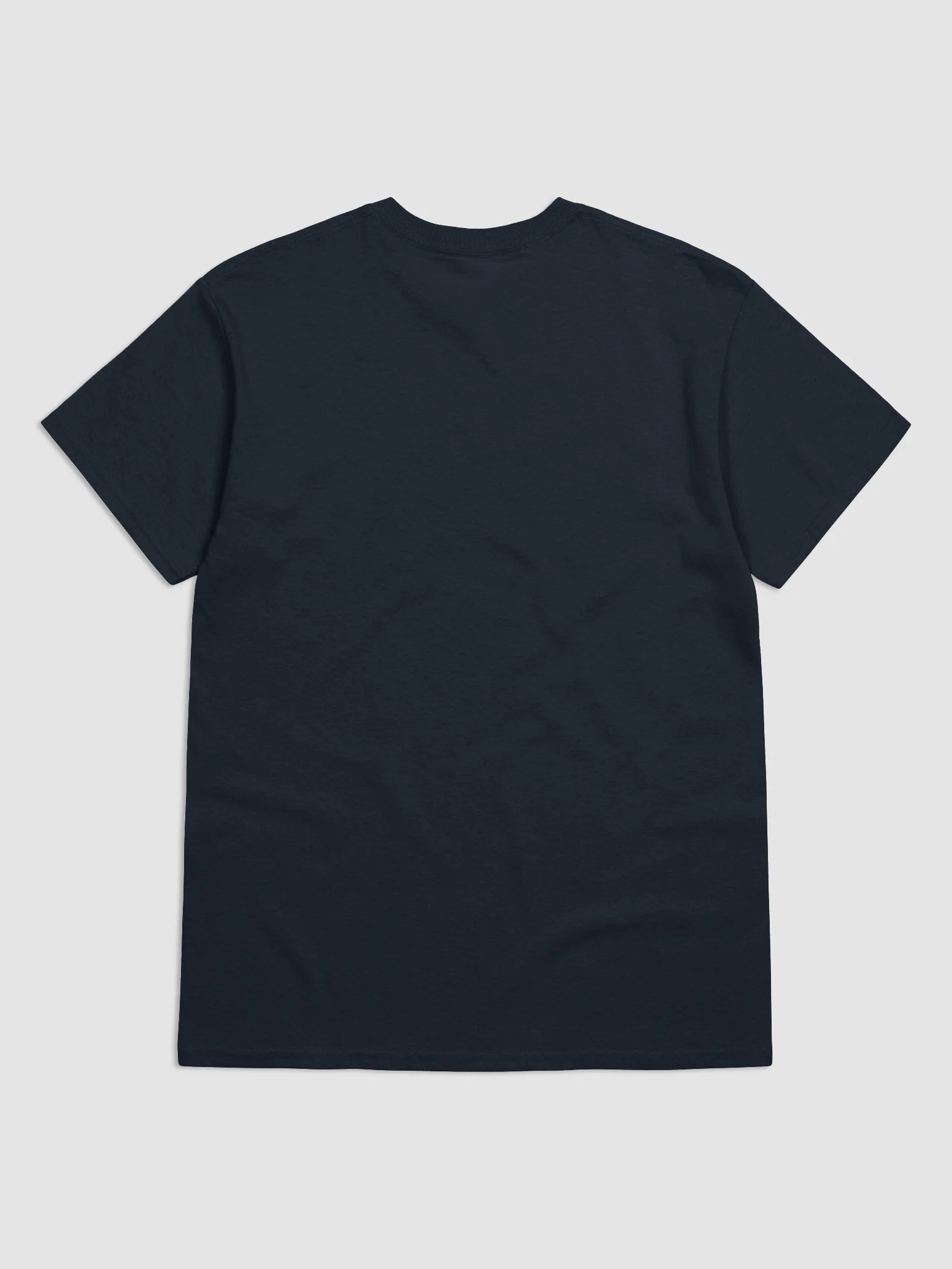 Arctic Valley - Regular T-shirt product image (8)