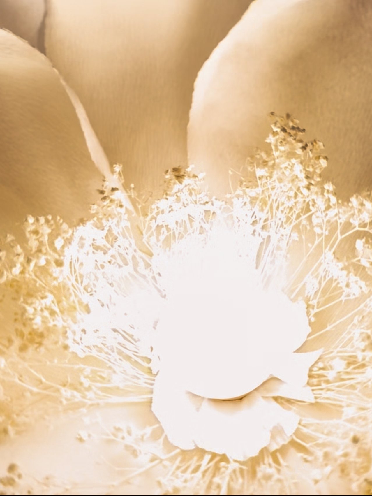 DIY Giant Flower Lamp: Templates from Video Tutorial + Materials Checklist product image (11)