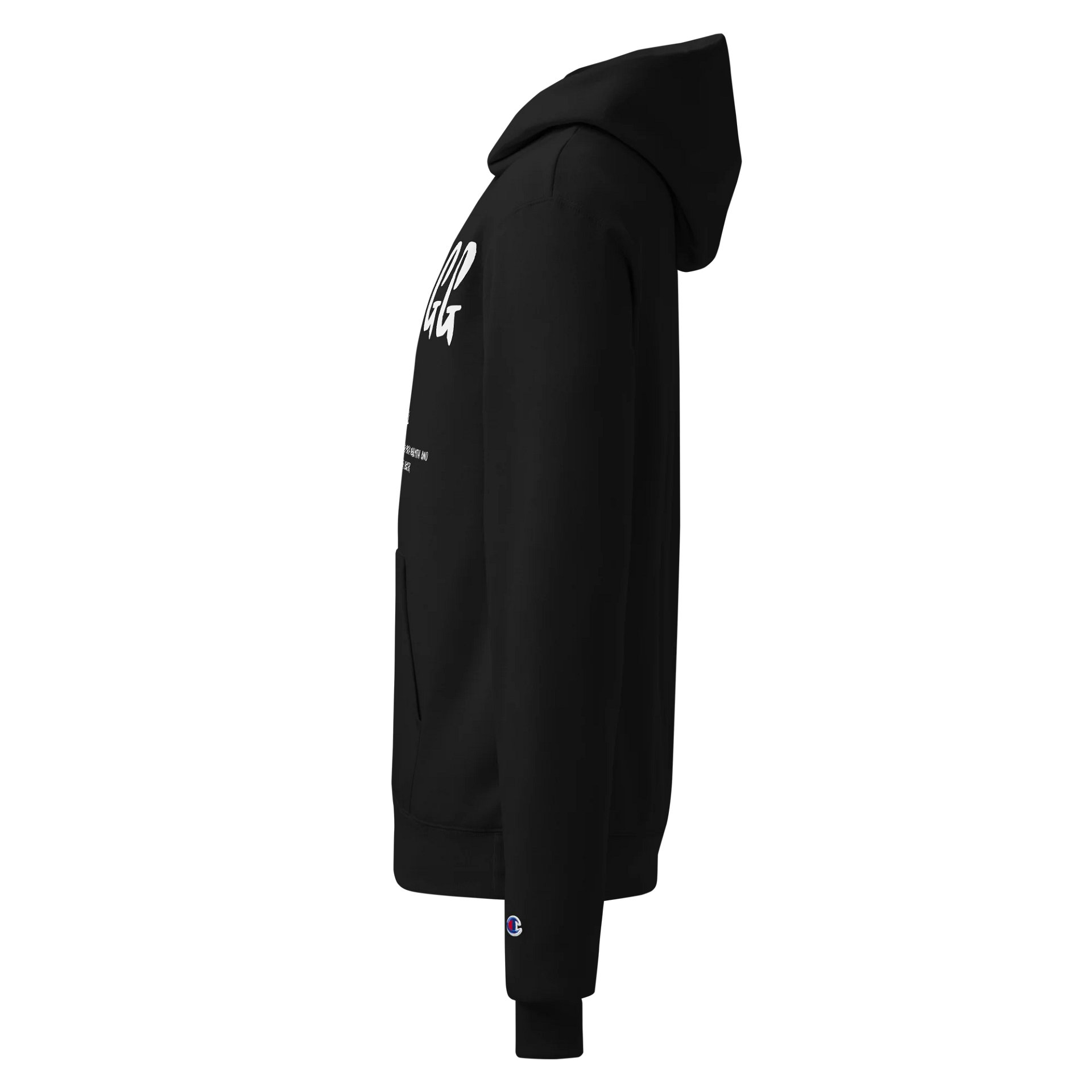 YSAGG Definition Champion Hoddie product image (3)