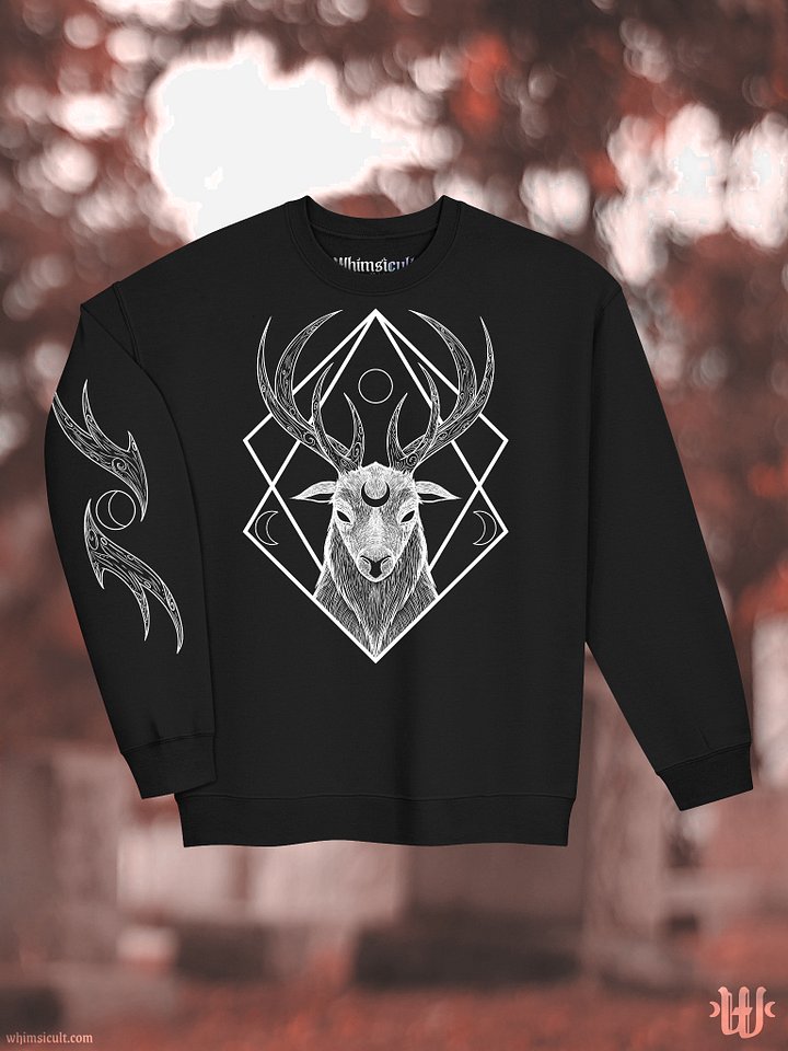 Lunaris Sweater product image (2)