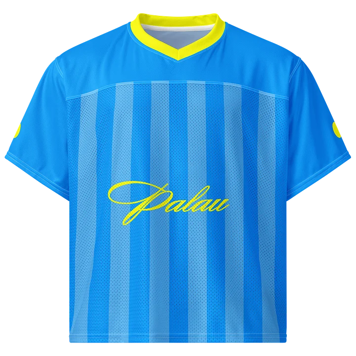 Palau Boxy Sports Tee product image (1)