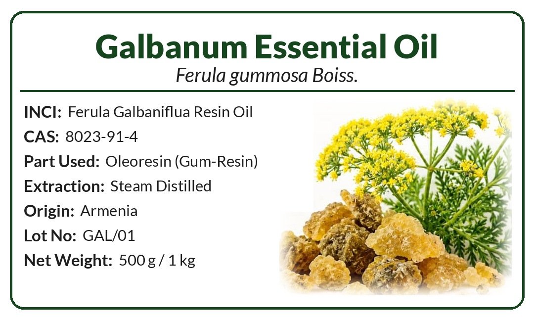Galbanum Essential Oil (Ferula gummosa Boiss.) product image (2)