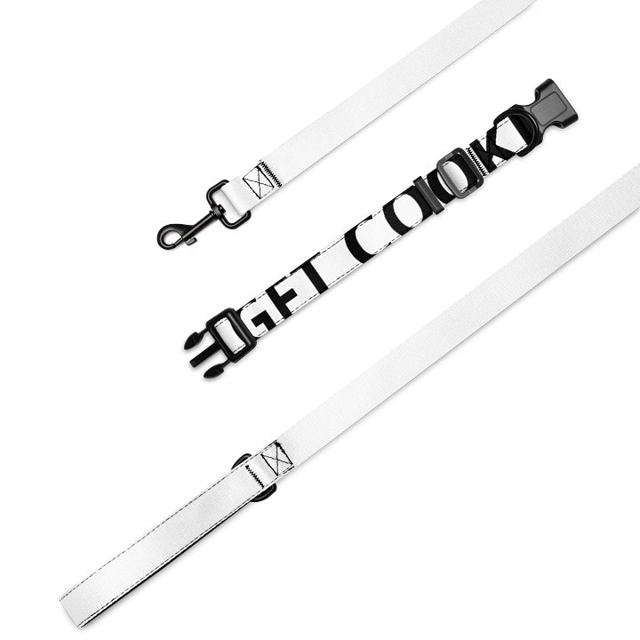LET GET COOKIN COLLOR AND LEASH product image (1)