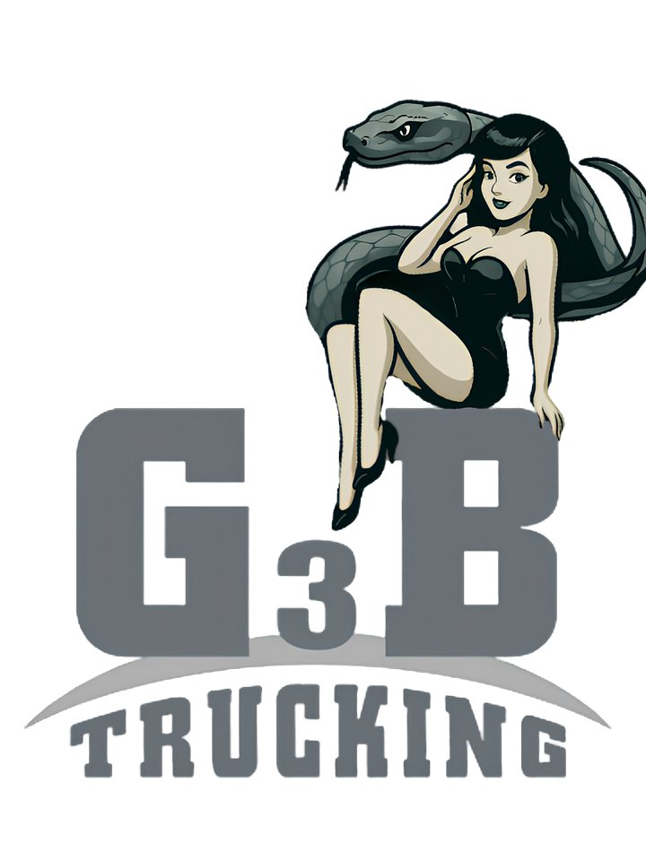 GB6 TSHIRT - ANIMATED product image (1)