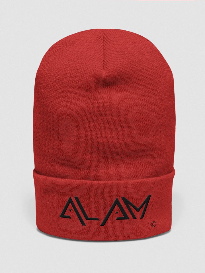 ALAM Beenie product image (3)