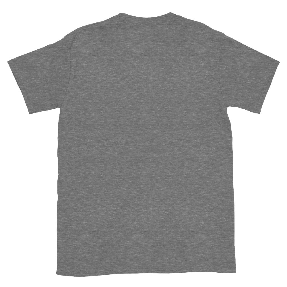 YC Unisex Grey T-Shirt product image (2)