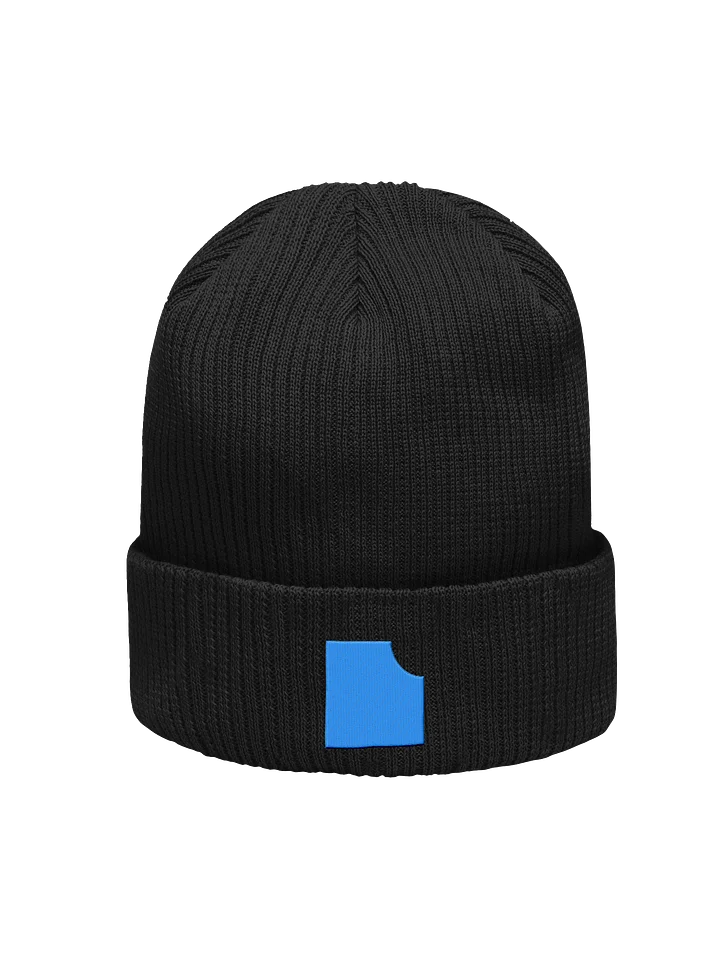 TASTY CHIPS ORGANIC BEANIE product image (1)